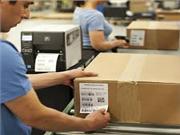 Tuyển nhân viên kế toán