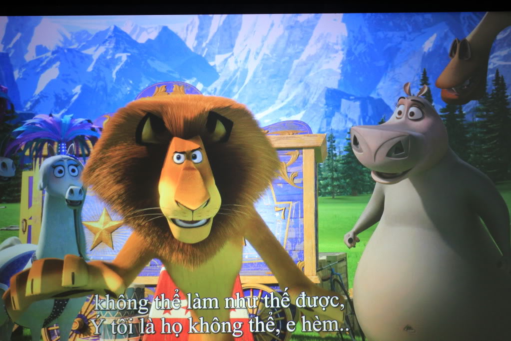 IMG_5757_zpsd26d1388.