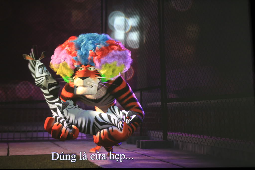 IMG_5836_zps9d1769b5 (1).